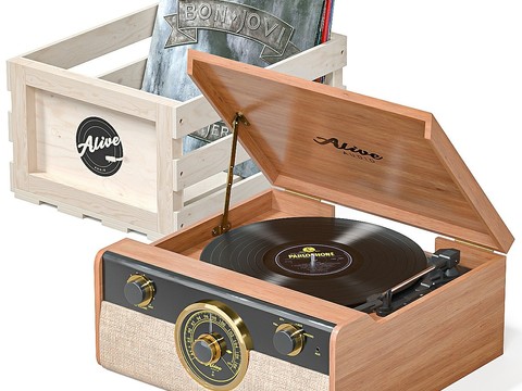 phonograph vinyl record player