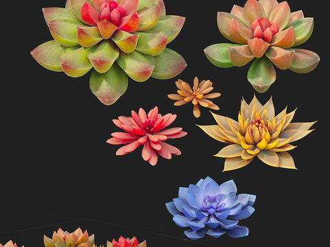 succulents