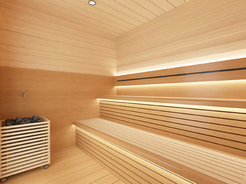 Modern steam room