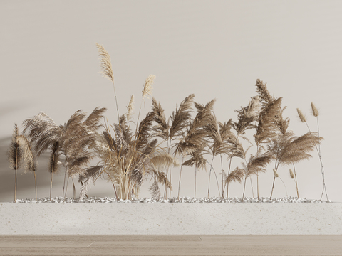 Dried Branch Flower Groove Reed Dead Branch Indoor Landscape