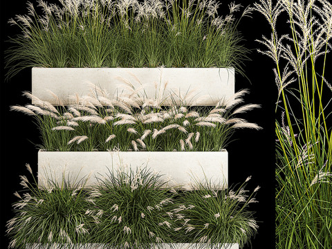 flowerbed flower box reed shrub