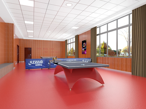 Modern Hall Table Tennis Room