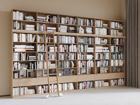 Bookshelf Bookcase Books Books