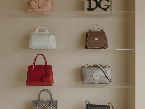 Luxury Bags Leather Bags Handbags