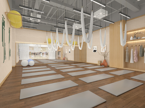 Gym Yoga Studio Pilates