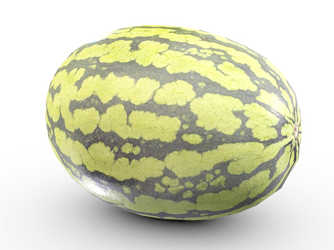 Modern Watermelon Fruit