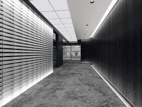 Dark Style Office Corridor Passage