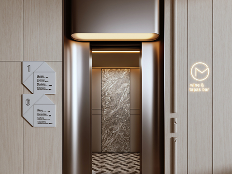 Affordable Luxury Style Elevator Lift