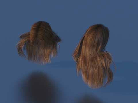 Hair Wig Hair Set