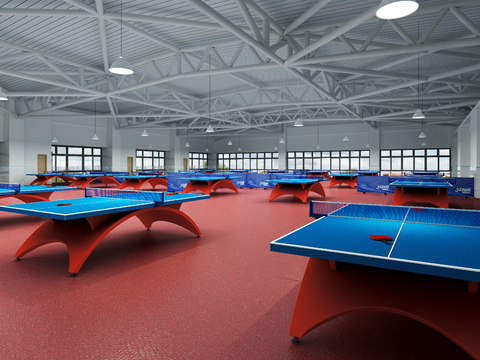 Modern Table Tennis Gymnasium