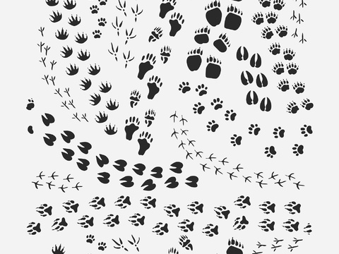 Animal Footprints Cartoon Elements Pattern Illustration