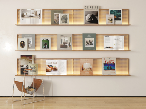 Modern Bookshelf Books and Magazines