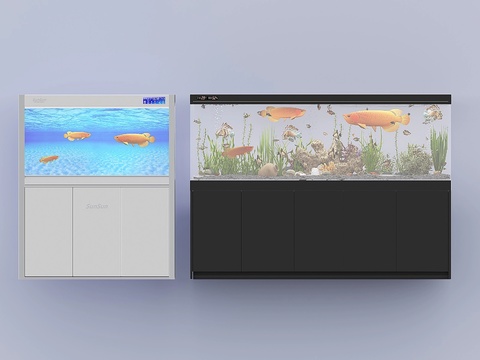 aquarium aquarium