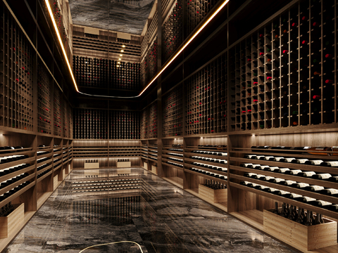 Villa Cellar Wine Room