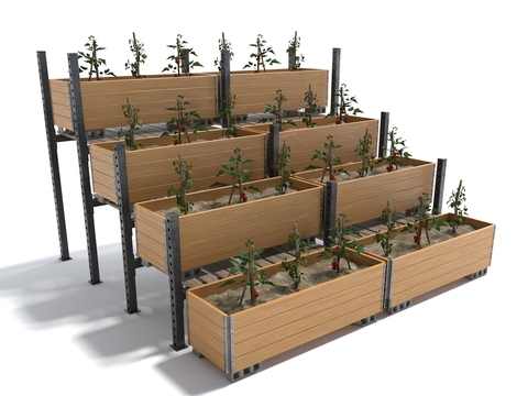 Vegetables Potted Vegetable Rack Crops