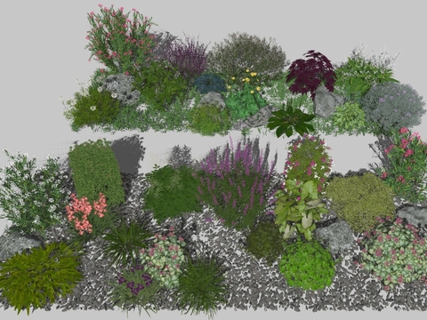 flowers and plants flowers shrubs plant pile