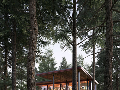 Villa Appearance Forest Wooden House