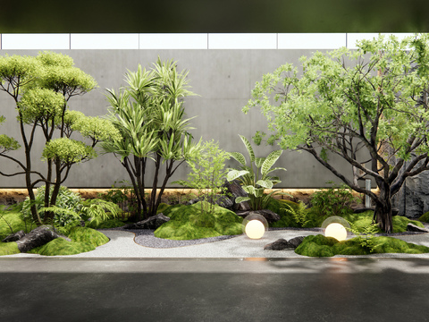 Modern indoor landscaping plants pile landscape tree