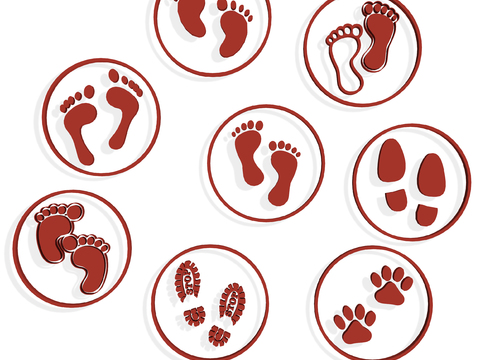 Footprints Wall Decorations Animal Footprints