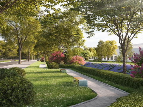 Park landscape forest path