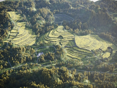 Mountain landscape terrace