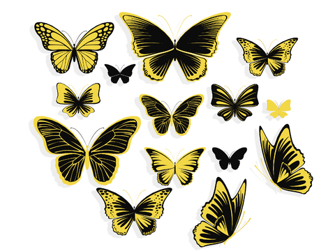 Butterfly Wall Silhouette Illustration Insect