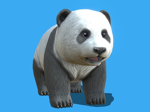 National treasure panda cub panda