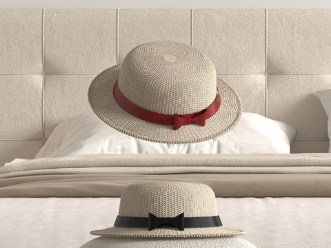 Ladies hat straw hat