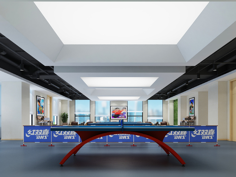 Table Tennis Room Table Tennis Hall