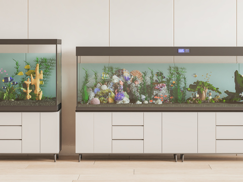 Fish tank aquarium tropical fish