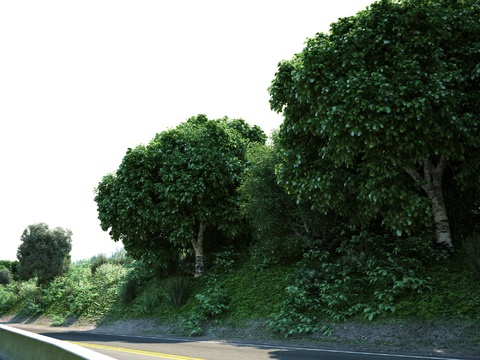 Garden Landscape Forest Highway