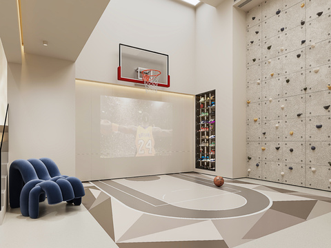 home gym basketball court