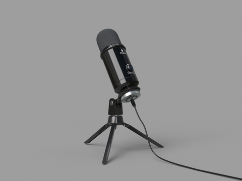 Stand microphone