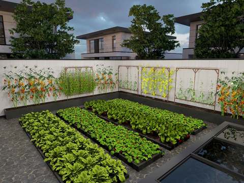 Courtyard Vegetable Garden