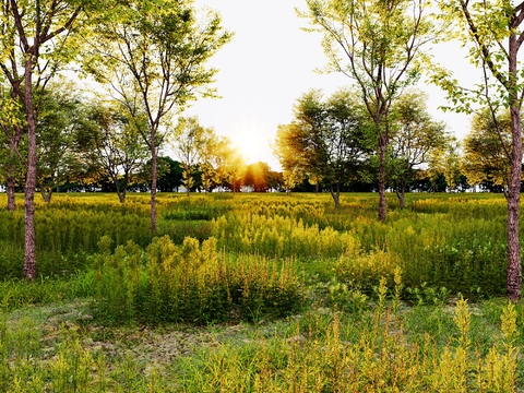 Garden landscape flowers and shrubs landscape trees