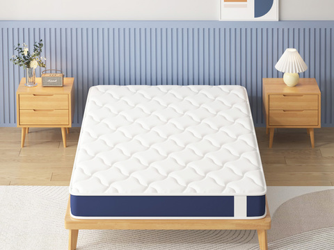 Mattress Cushioned Spring Bed