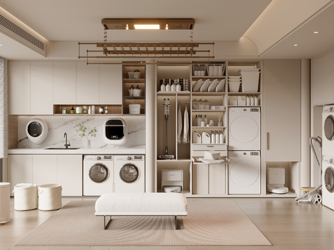 Modern Laundry Room Housekeeping