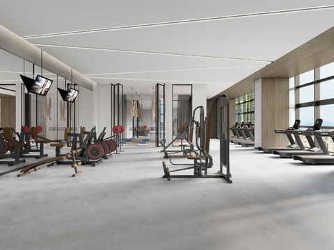 Modern Gym