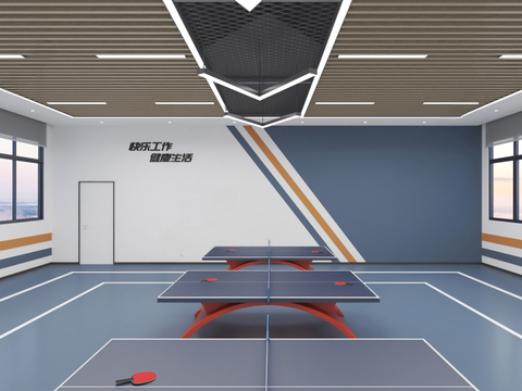 Table Tennis Room