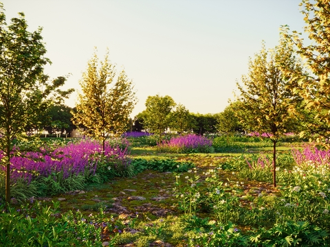 Outdoor landscape plants shrubs weeds flowers grass grass