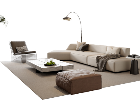 Modern sofa combination