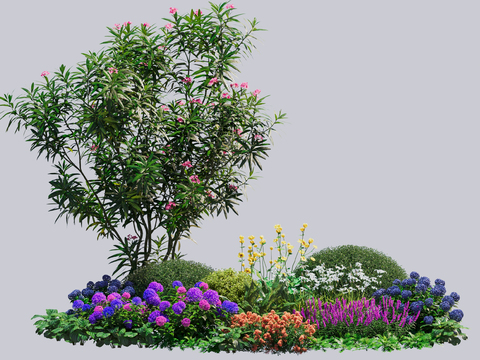 Shrubs, flowers and plants