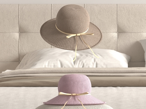 Ladies hat straw hat