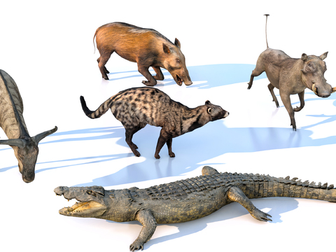 african animal crocodile civet cat wild boar cow wild animal