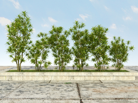 landscape tree arbor yellow flower oleander