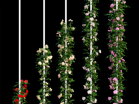 Rose Vine Decorative Column