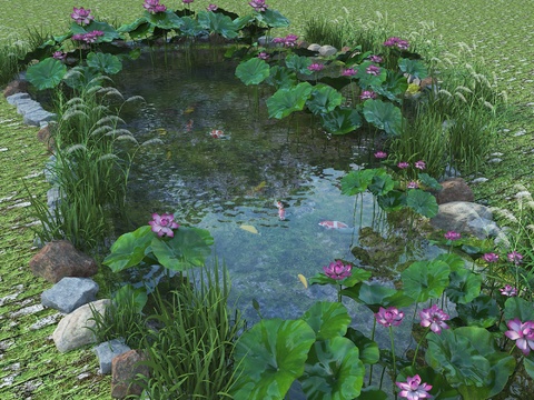 Landscape Pool Lotus Pool