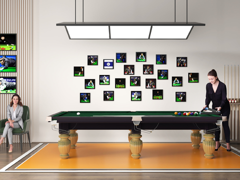 Modern Pool Table Snooker