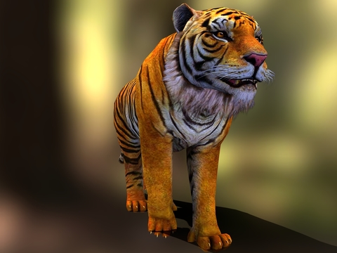 Tiger