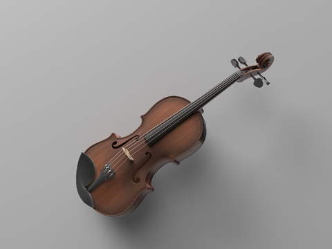 musical instrument violin